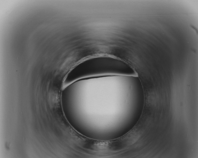 X0000103250084200809041118