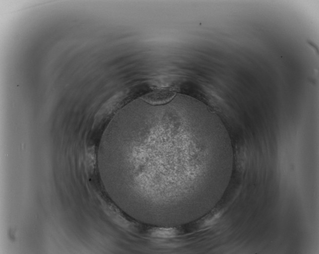 X0000103250085200809041118