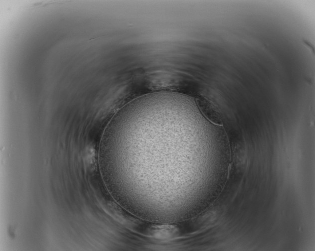 X0000103250087200809041118