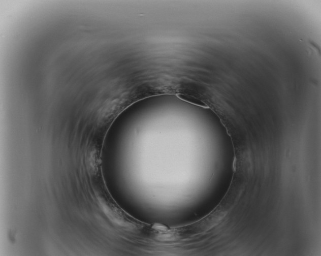 X0000103250088200809041118