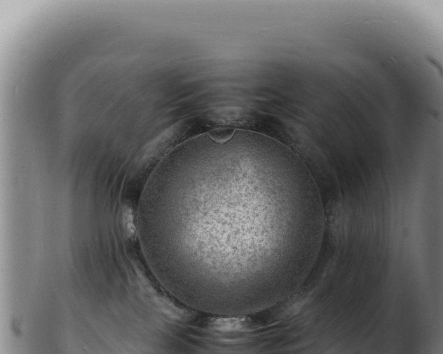 X0000103250089200809041118