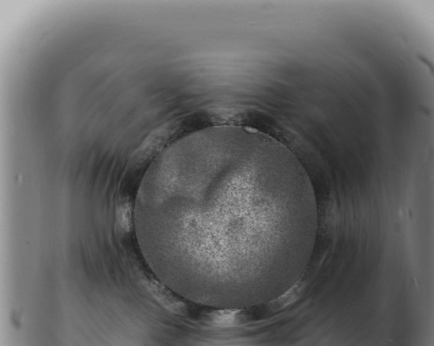 X0000103250090200809041118