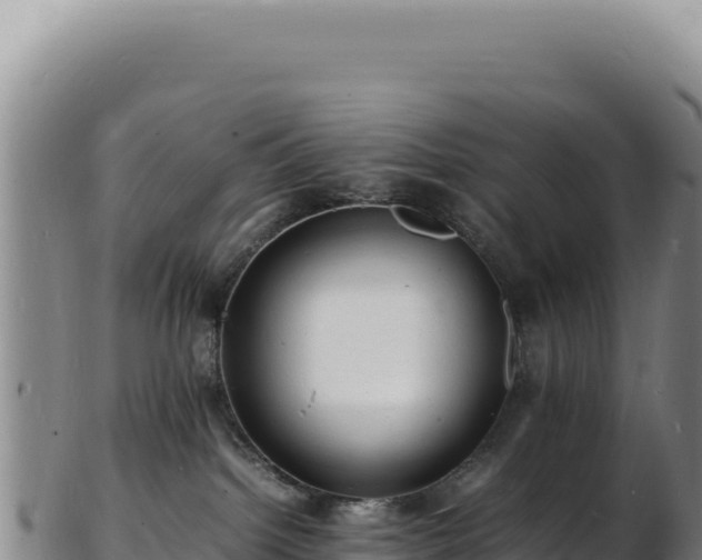 X0000103250092200809041118
