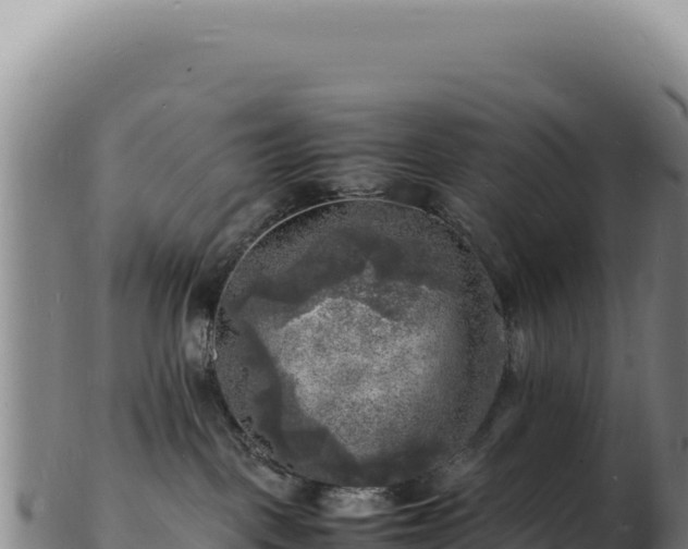 X0000103250093200809041118