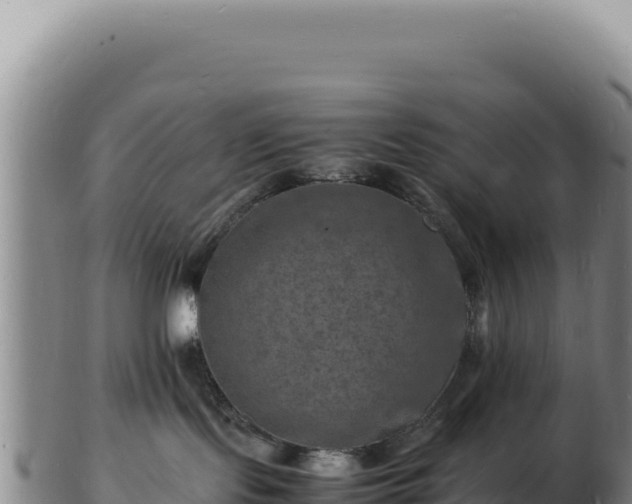 X0000103250095200809041118