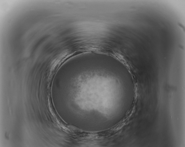 X0000103250097200809041118