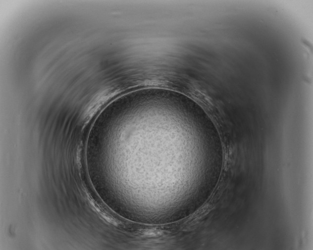 X0000103250098200809041118