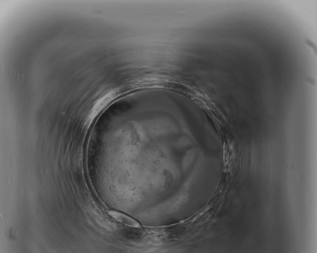 X0000103250099200809041118