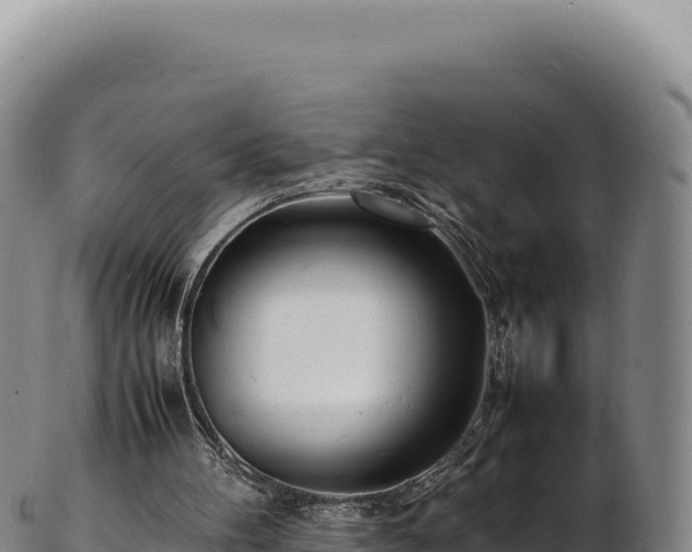 X0000103250100200809041118