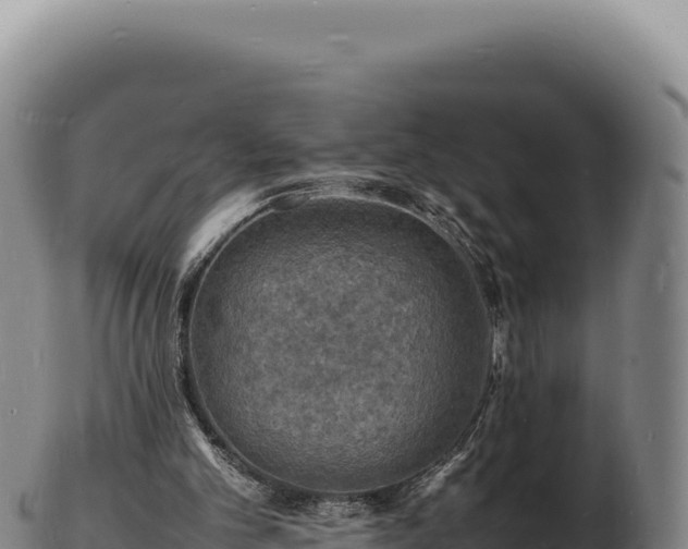 X0000103250101200809041118