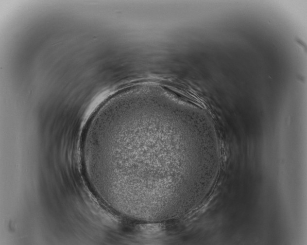 X0000103250102200809041117