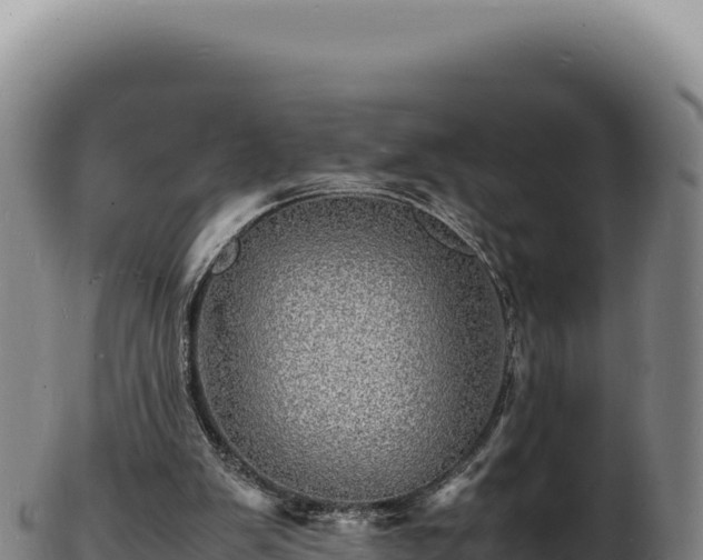 X0000103250103200809041117