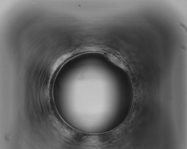 X0000103250104200809041117