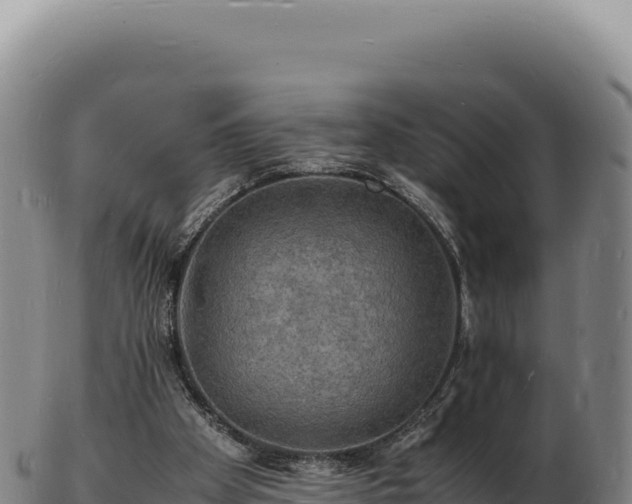 X0000103250105200809041117