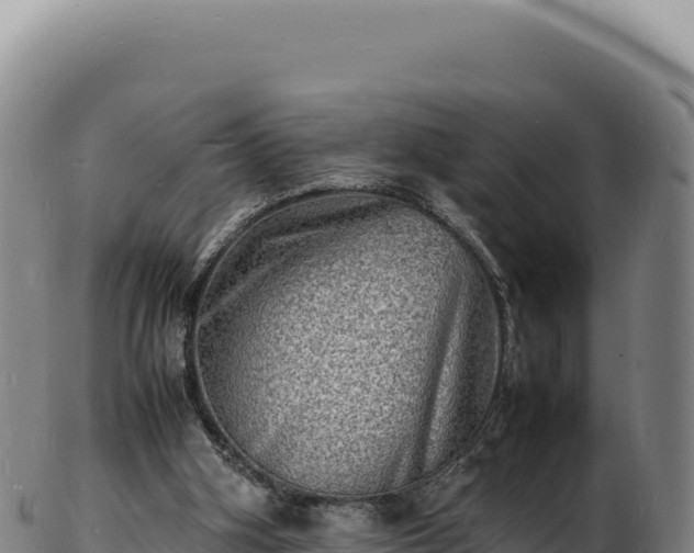 X0000103250106200809041117