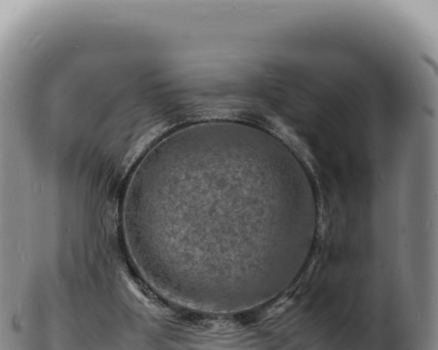 X0000103250107200809041117