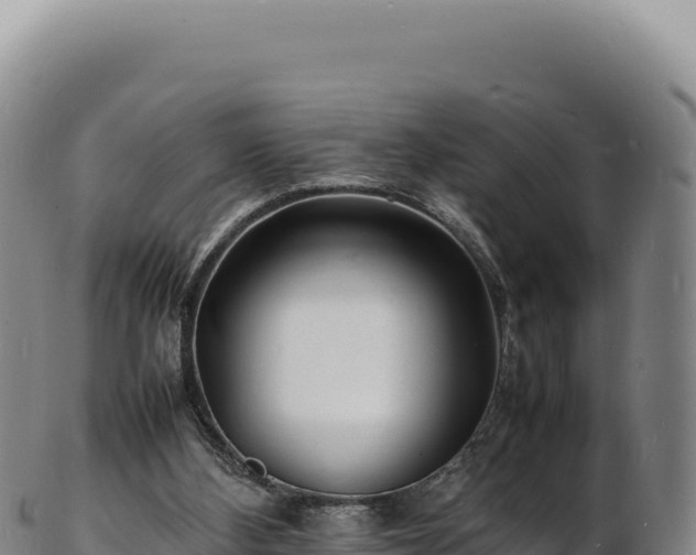 X0000103250108200809041117