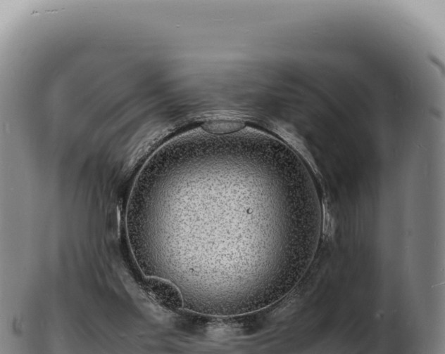 X0000103250109200809041117
