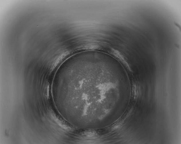 X0000103250110200809041117