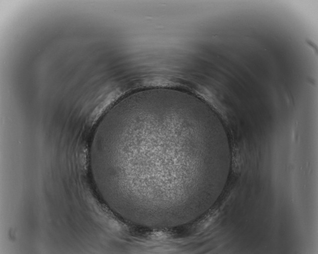 X0000103250111200809041117