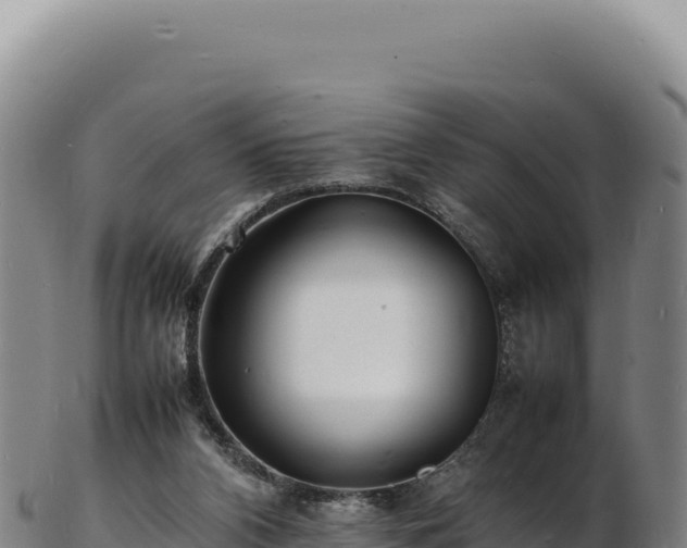 X0000103250112200809041117