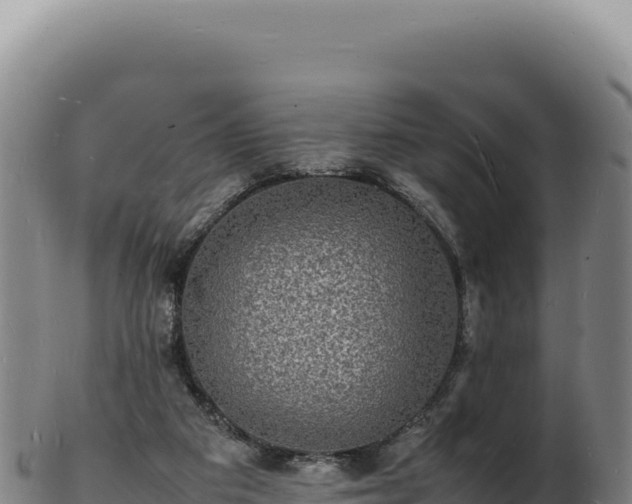 X0000103250113200809041117