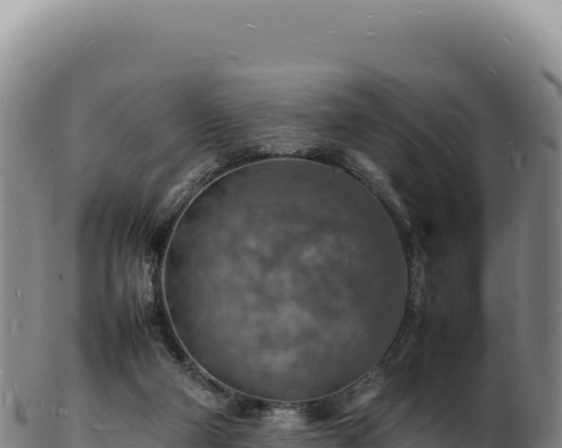 X0000103250114200809041117