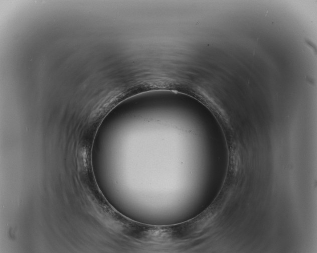 X0000103250117200809041117
