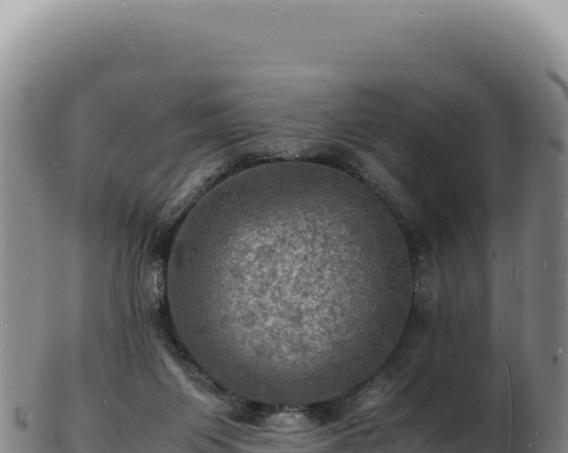 X0000103250119200809041117