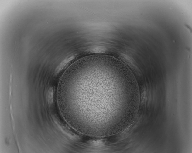 X0000103250120200809041117