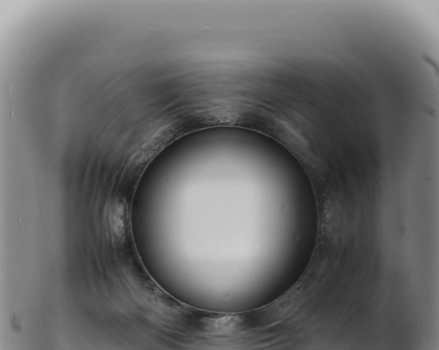 X0000103250122200809041117