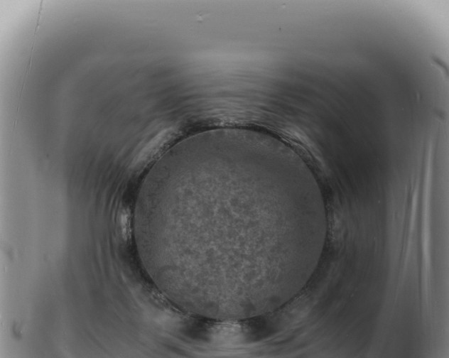 X0000103250123200809041117