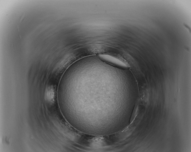 X0000103250124200809041117
