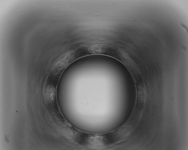 X0000103250125200809041117