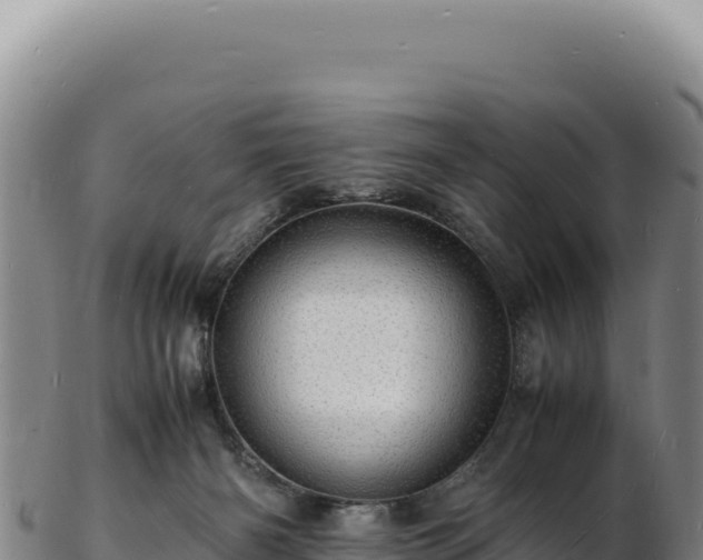 X0000103250126200809041117