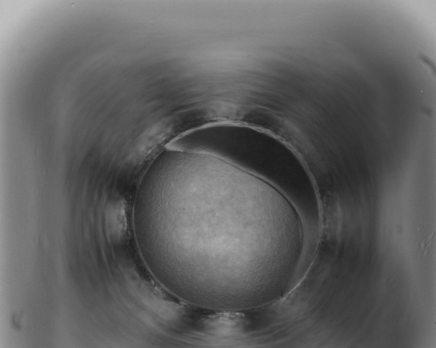 X0000103250128200809041117