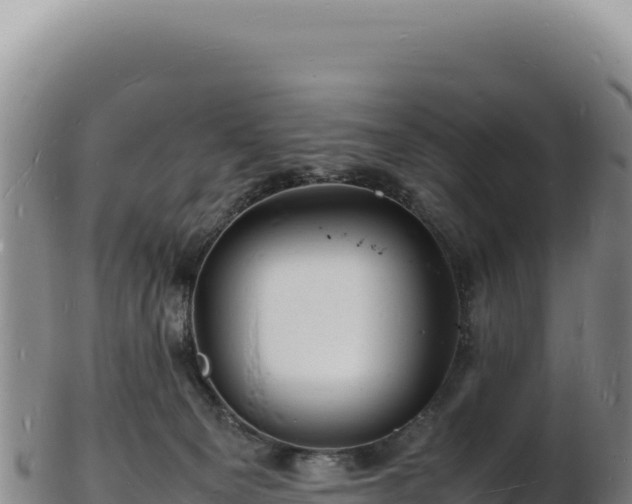 X0000103250129200809041117