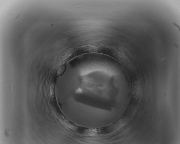 X0000103250131200809041117