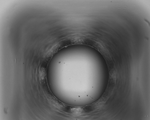 X0000103250133200809041117