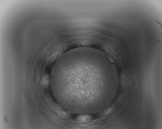 X0000103250135200809041117
