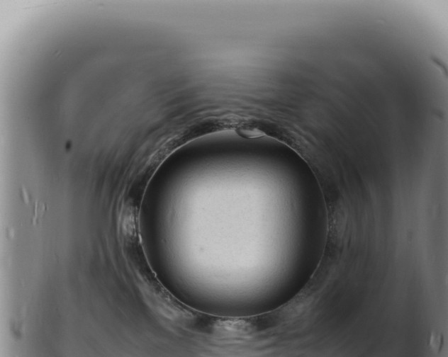 X0000103250137200809041117