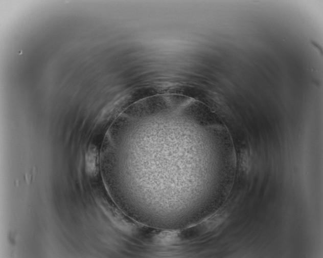 X0000103250138200809041117