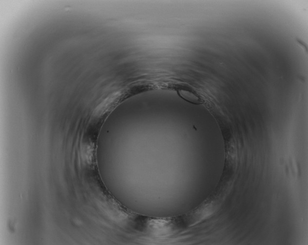 X0000103250139200809041117