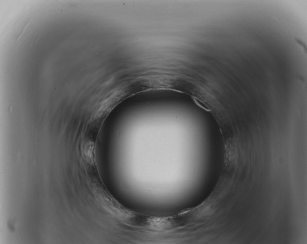 X0000103250141200809041117