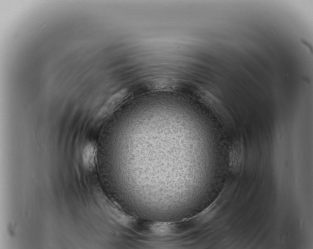 X0000103250142200809041117
