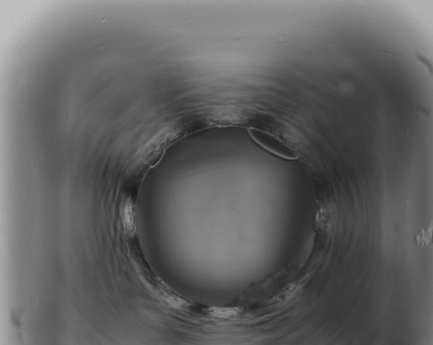 X0000103250143200809041117