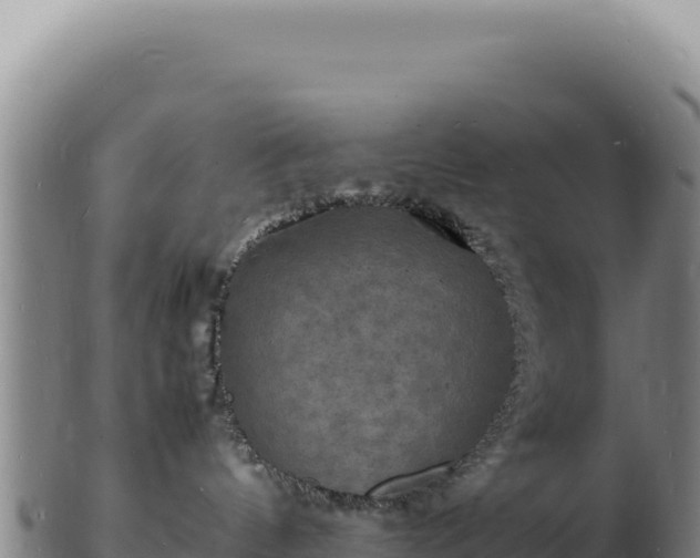 X0000103250144200809041117