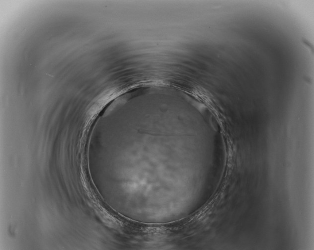 X0000103250145200809041116