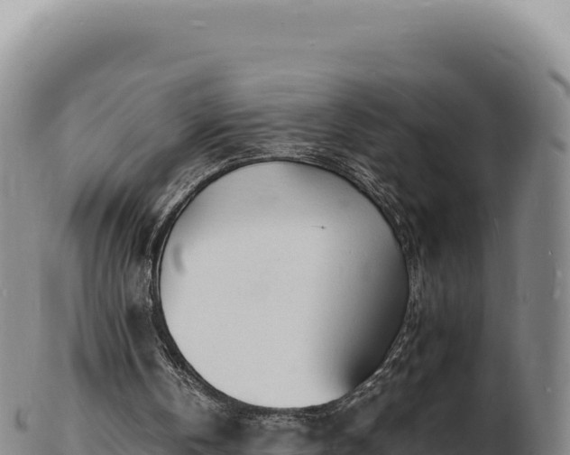 X0000103250146200809041116