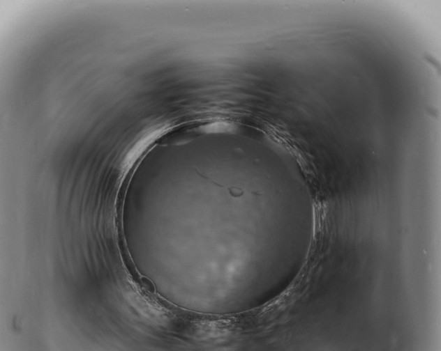 X0000103250147200809041116